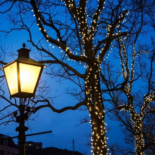 Digital Light Series - ¨Pica Pica¨50 Metros con panel solar