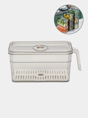 Recipiente Organizador